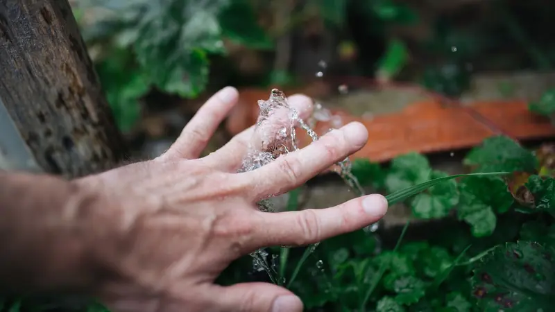 Eine Hand im feinen Wasserstrahl eines Gartenschlauchs