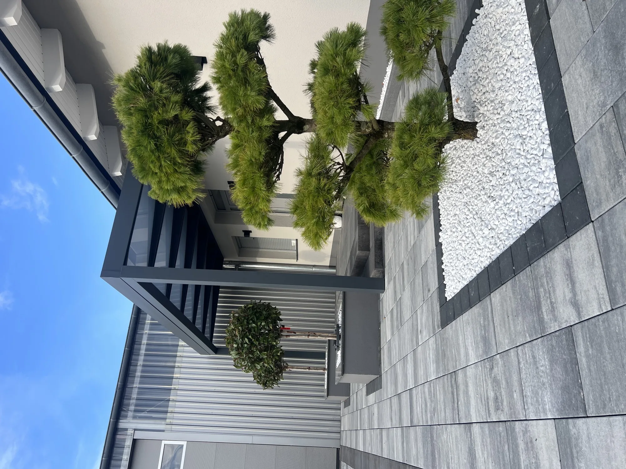 ALUXIL Cantiline 135 Terrassendach — Referenzprojekt